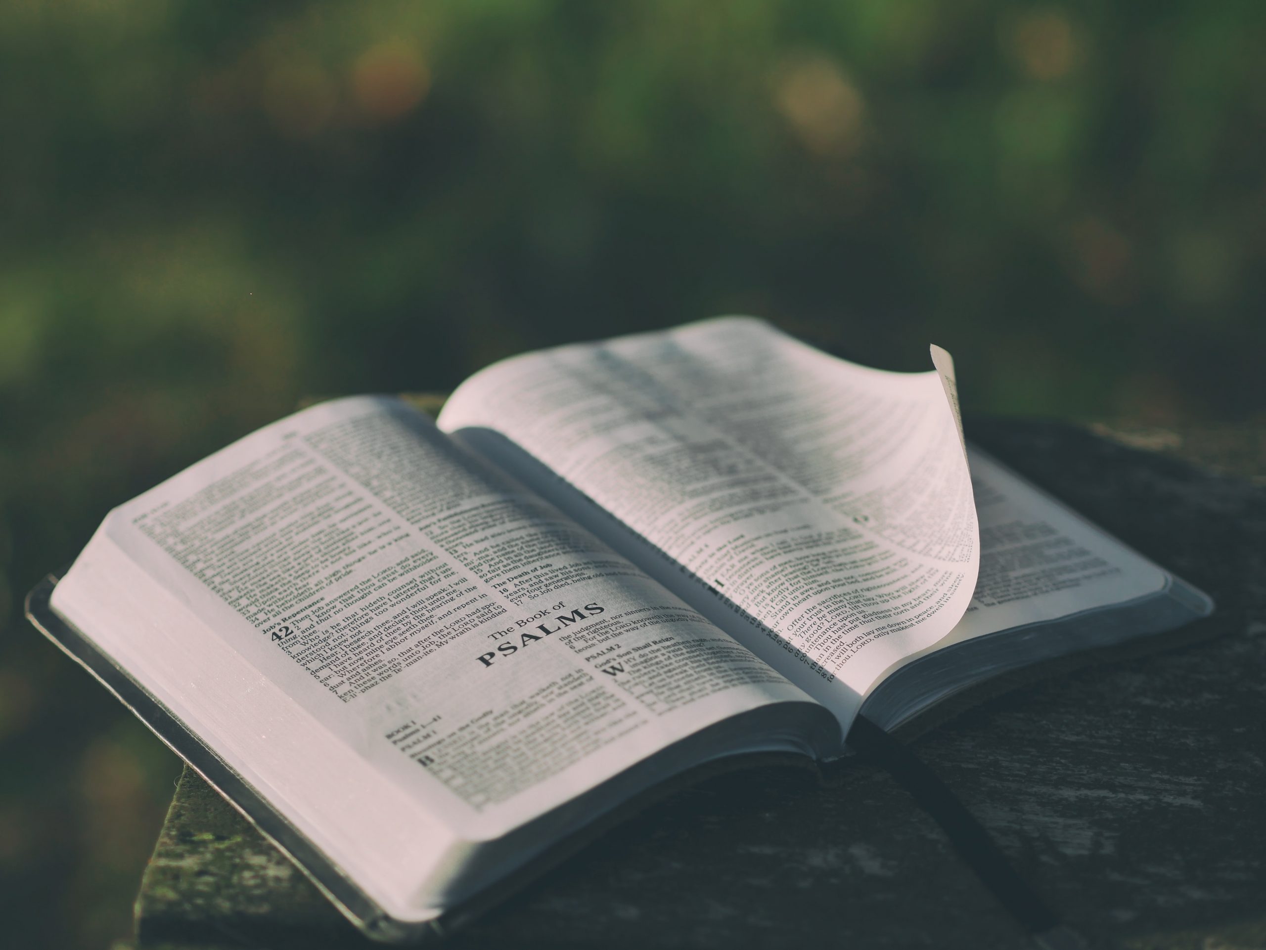 Promote Christian Programs